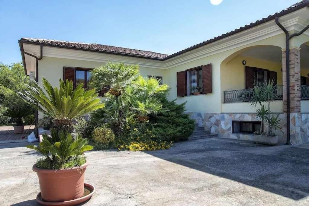 Alghero Villa Mistral Per 7 Persone Terrazza Bbq Ac Wifi Dış mekan fotoğraf